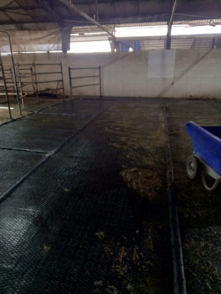 Bekleme Alanı Kauçuk Zemin Uygulamaları