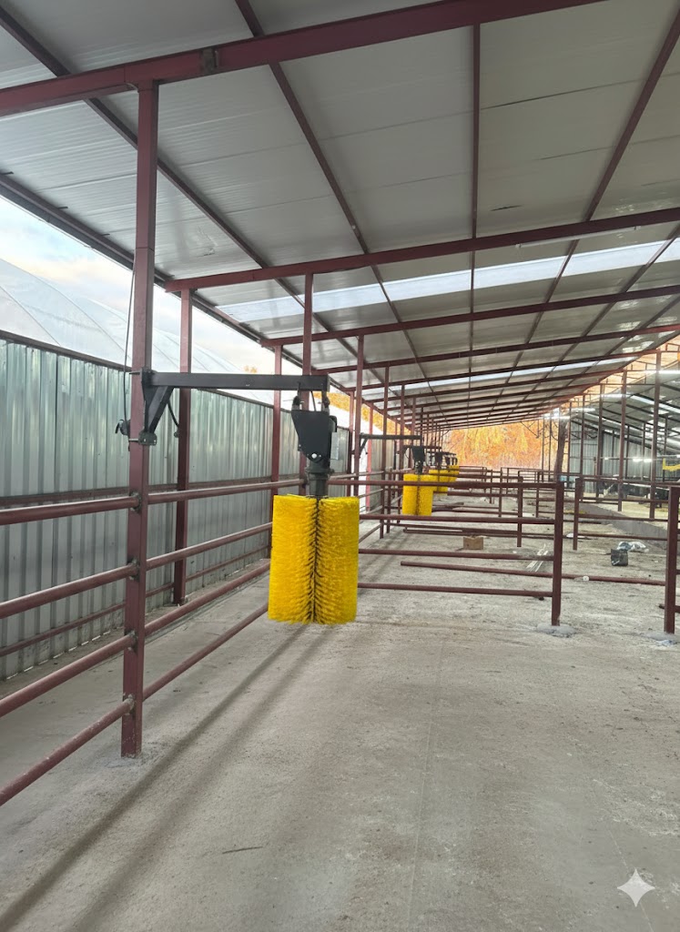 Hayvan Kaşıma Fırçaları