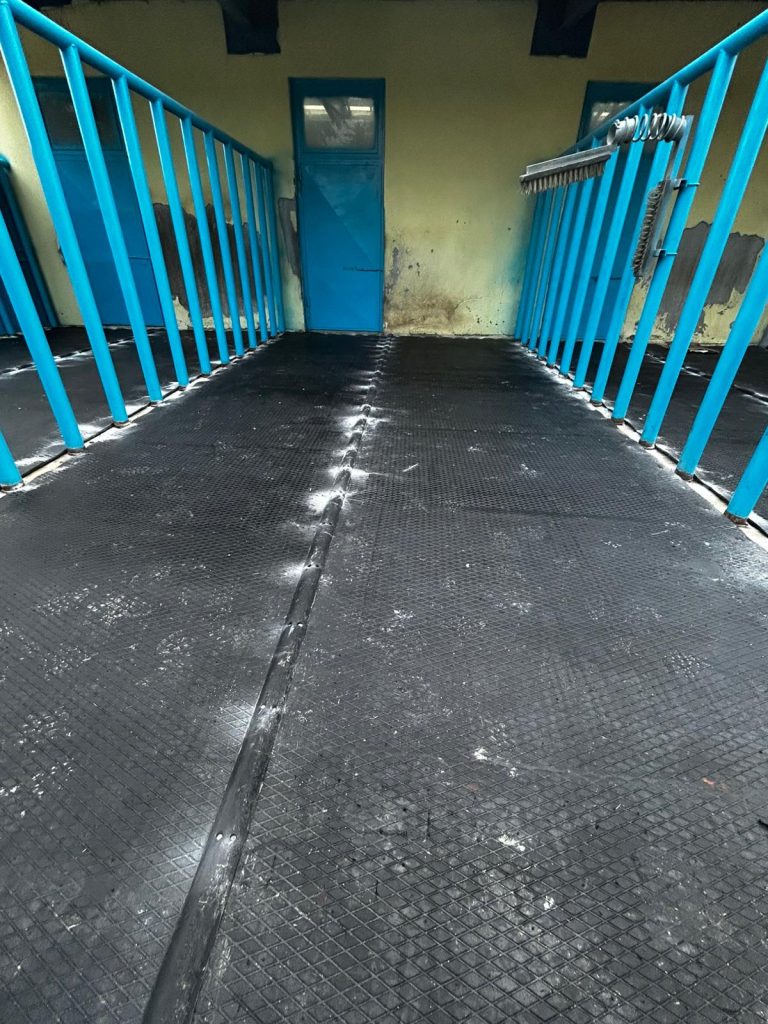 Padok Zemin Kaplama Uygulamaları