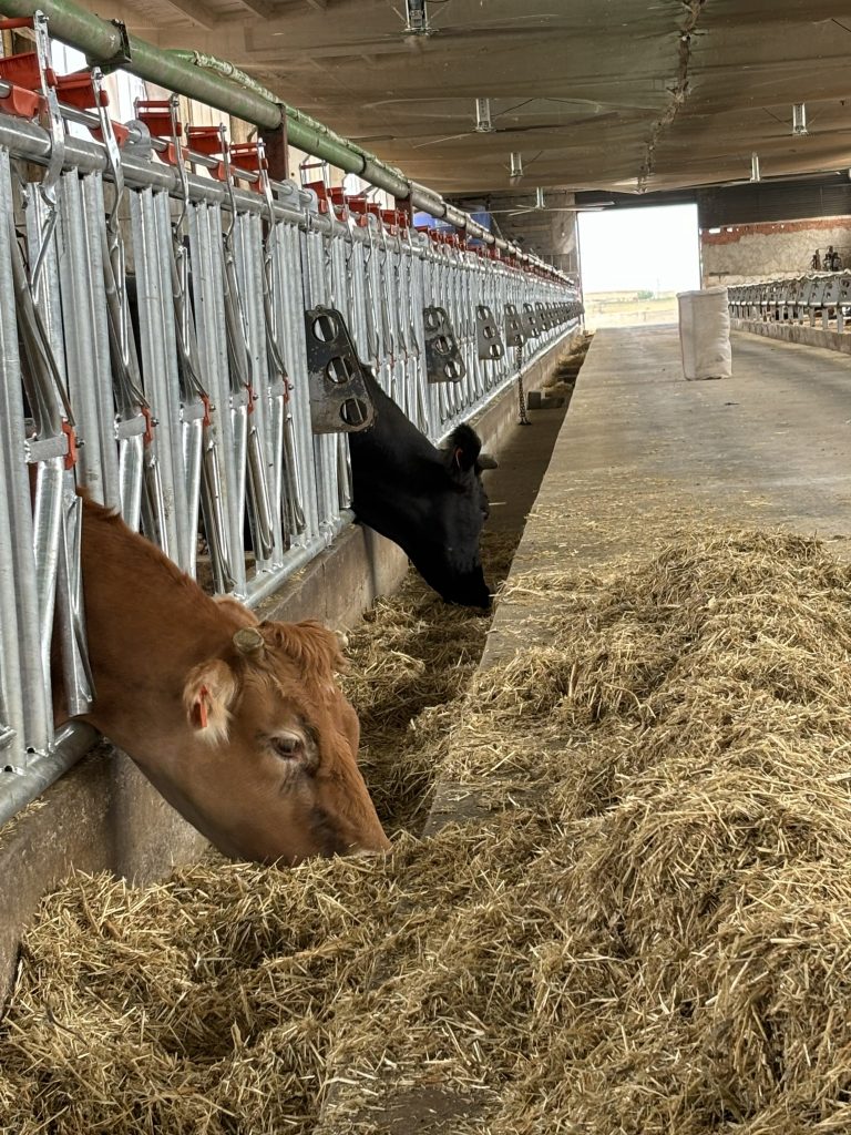 Yemlik Kilit Demiri Setleri