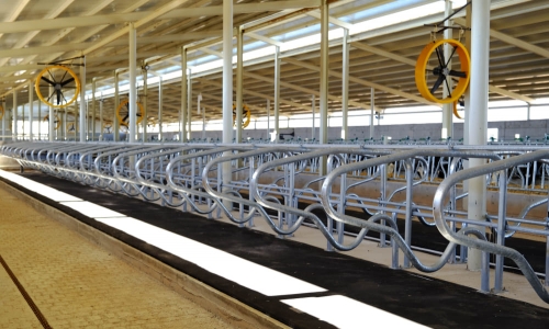 Yataklık Durak Demirleri ile Konforlu ve Düzenli Ahırlar