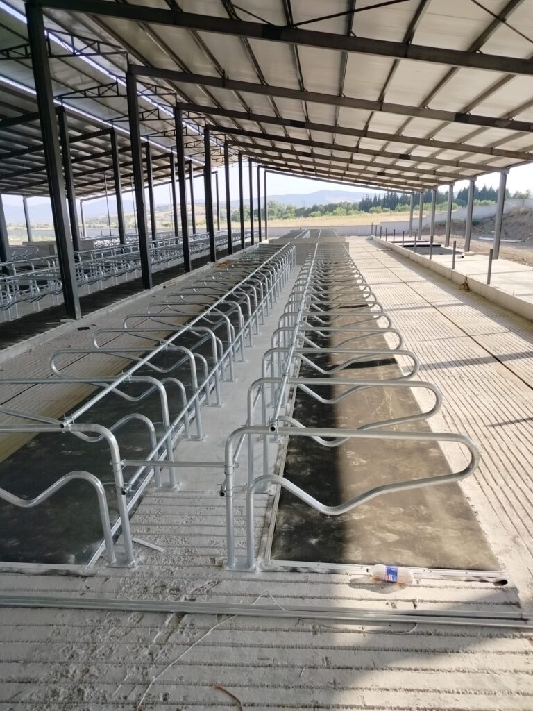 Maksimum Konfor, Maksimum Verim: AGRAPAR CowRest Çift Katmanlı İnek Yataklarının Süt Üretimine Etkisi